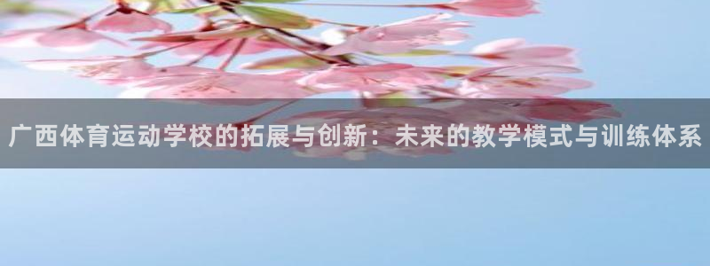 广西体育运动学校的拓展与创新：未来的教学模式与训练体系
