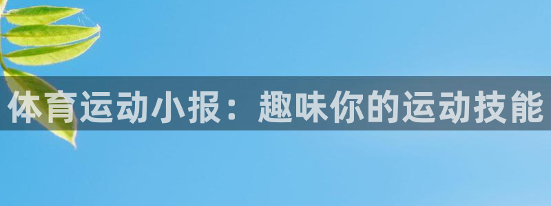 体育运动小报：趣味你的运动技能