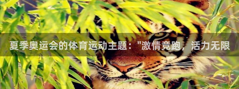 夏季奥运会的体育运动主题：\