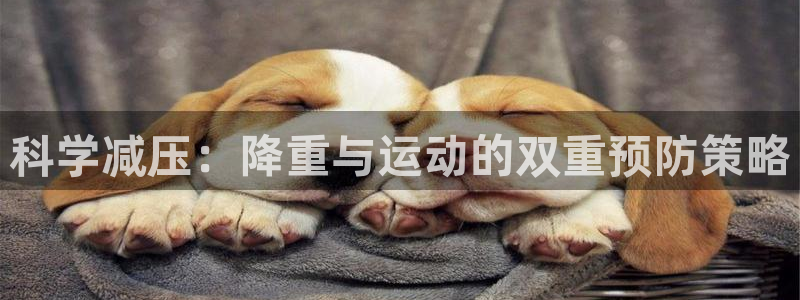 科学减压：降重与运动的双重预防策略
