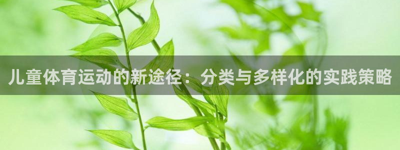 儿童体育运动的新途径：分类与多样化的实践策略