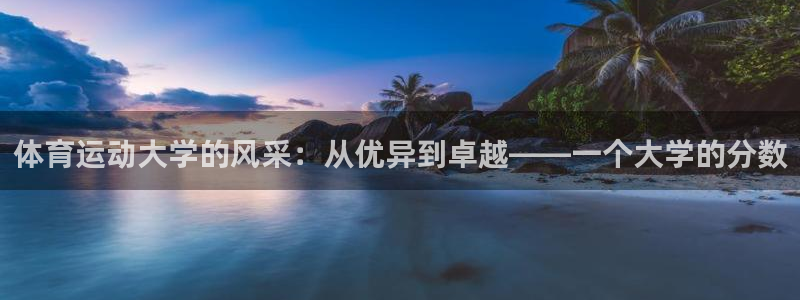 体育运动大学的风采：从优异到卓越——一个大学的分数