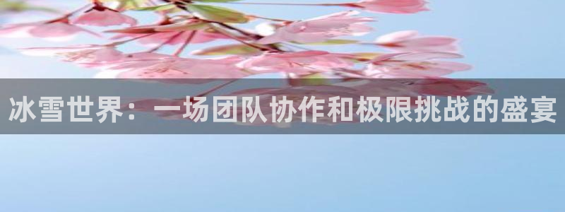 冰雪世界：一场团队协作和极限挑战的盛宴