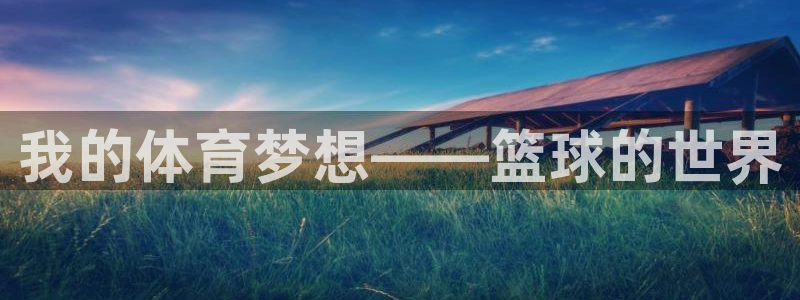 我的体育梦想——篮球的世界