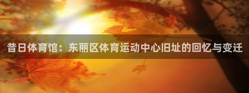 昔日体育馆：东丽区体育运动中心旧址的回忆与变迁